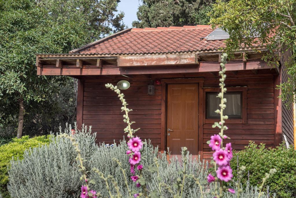 Hotel Zohar Badeshe à Daliyya Extérieur photo