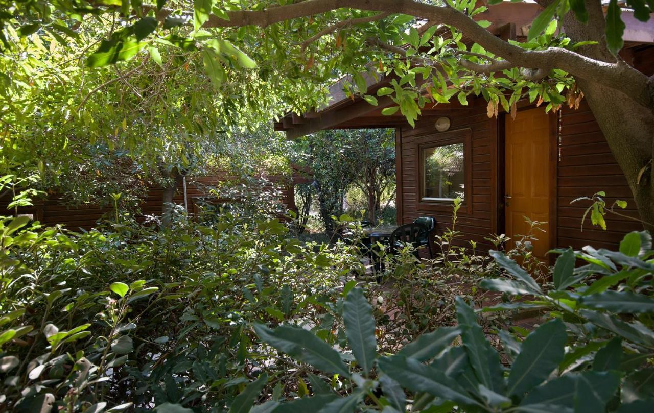 Hotel Zohar Badeshe à Daliyya Extérieur photo