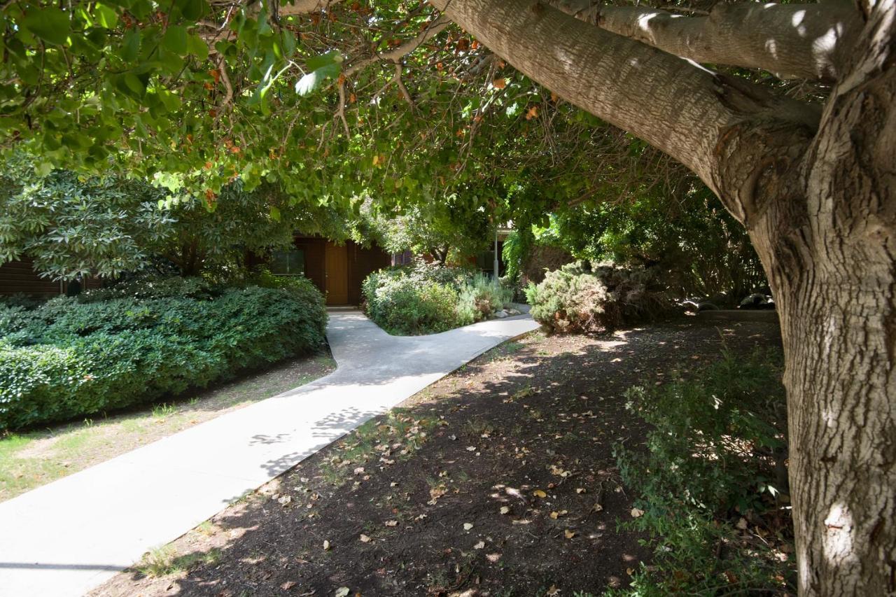 Hotel Zohar Badeshe à Daliyya Extérieur photo